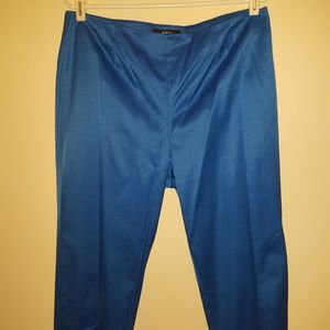 Blue Dressy Pants Size 12